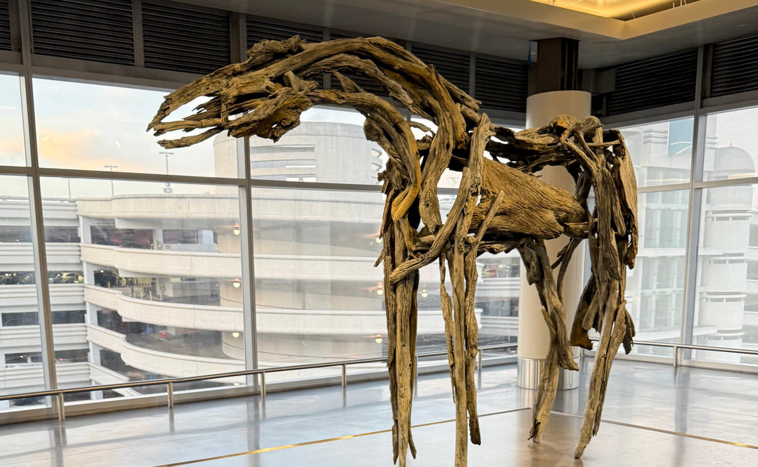 The Story of the Three-Toed Horse
