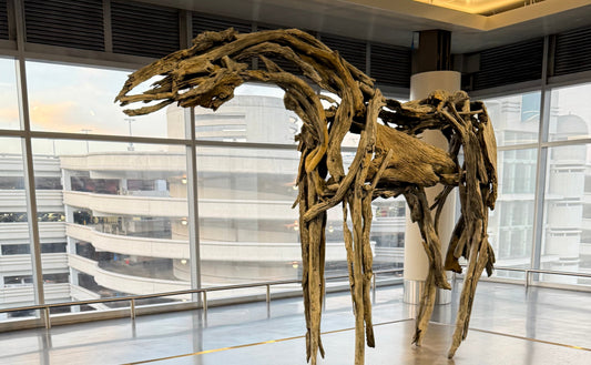 The Story of the Three-Toed Horse