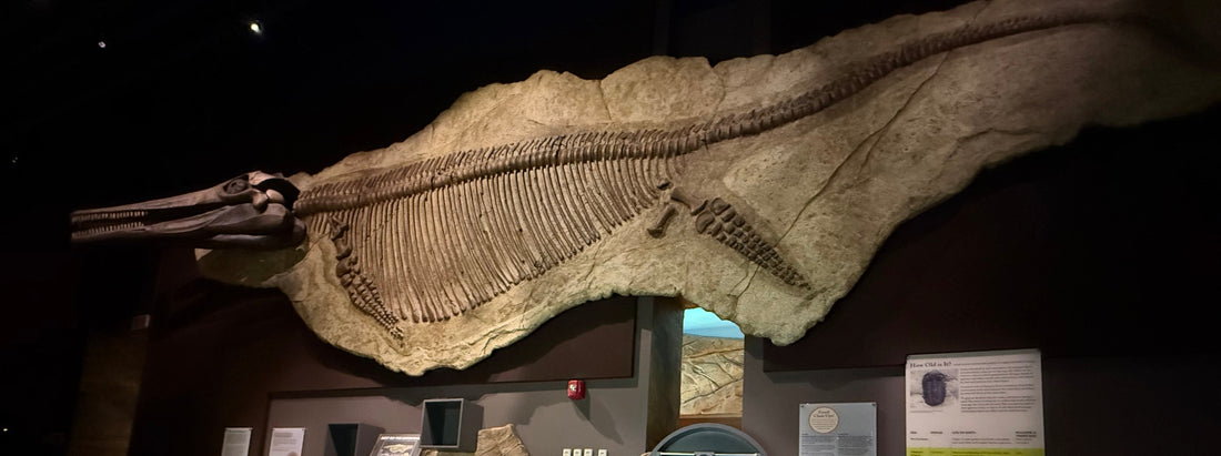 Gems, Bones, and Beasts: A Journey Through Nevada’s Past