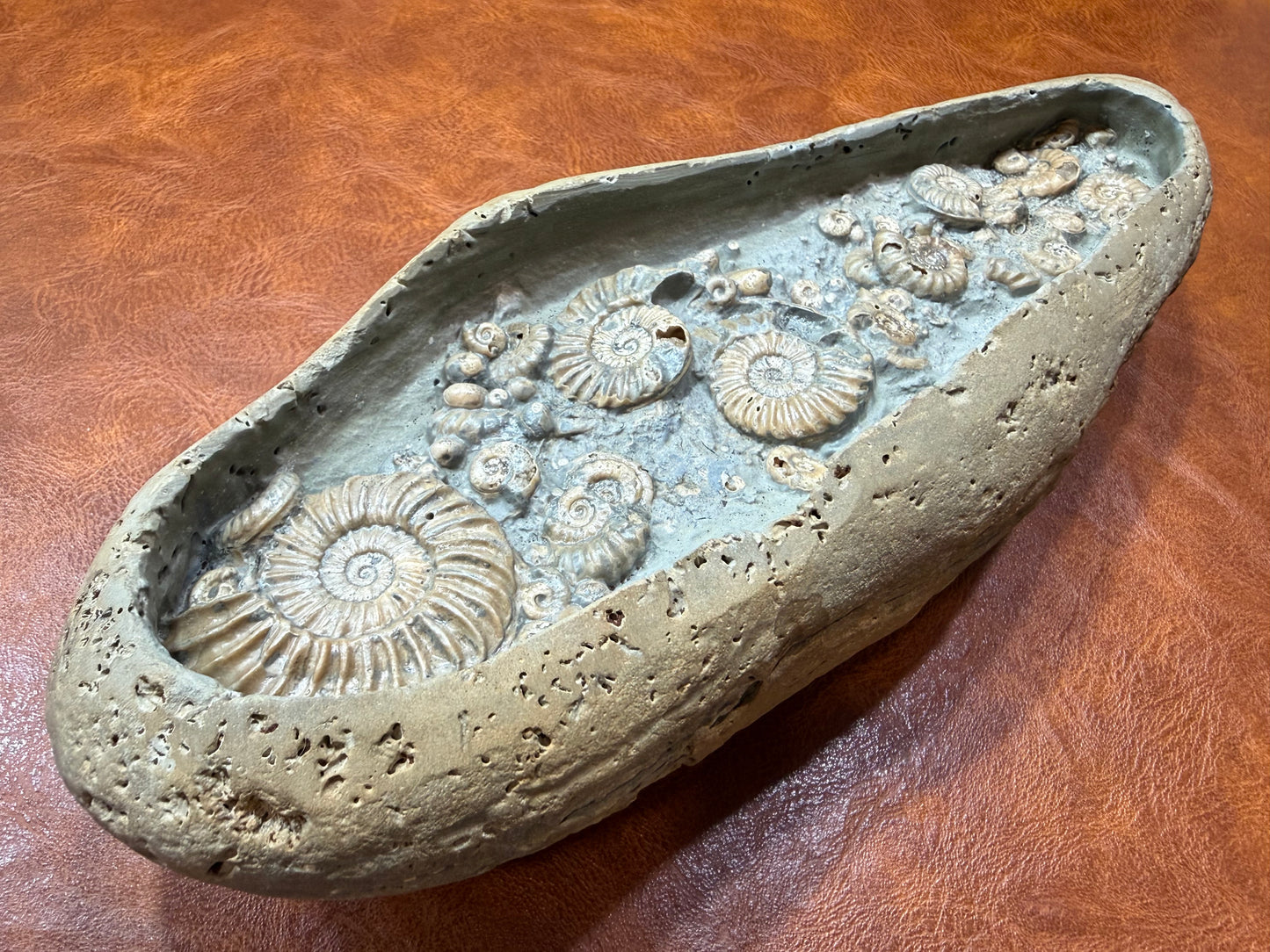 Ammonite Nodule