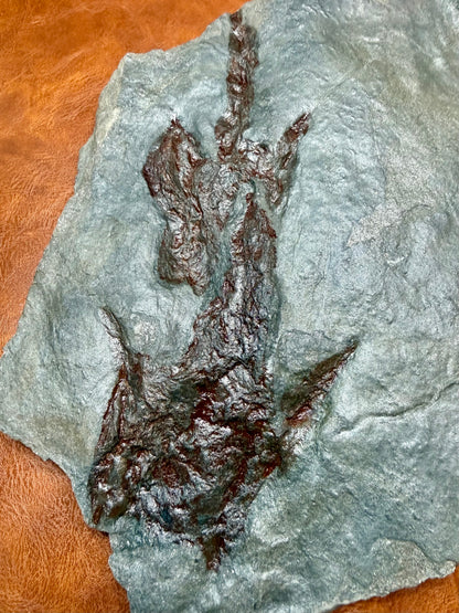 Dinosaur trace