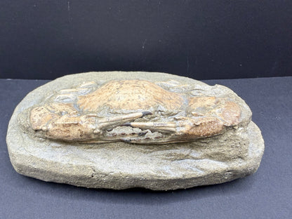 Charybdis Crab