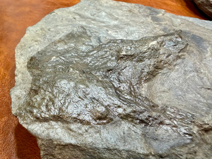 Dinosaur Trace