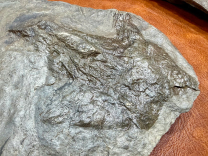 Dinosaur Trace