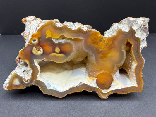 Agatized Coral