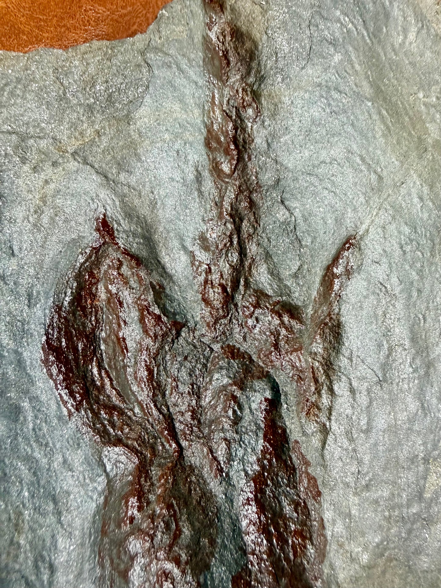 Dinosaur trace