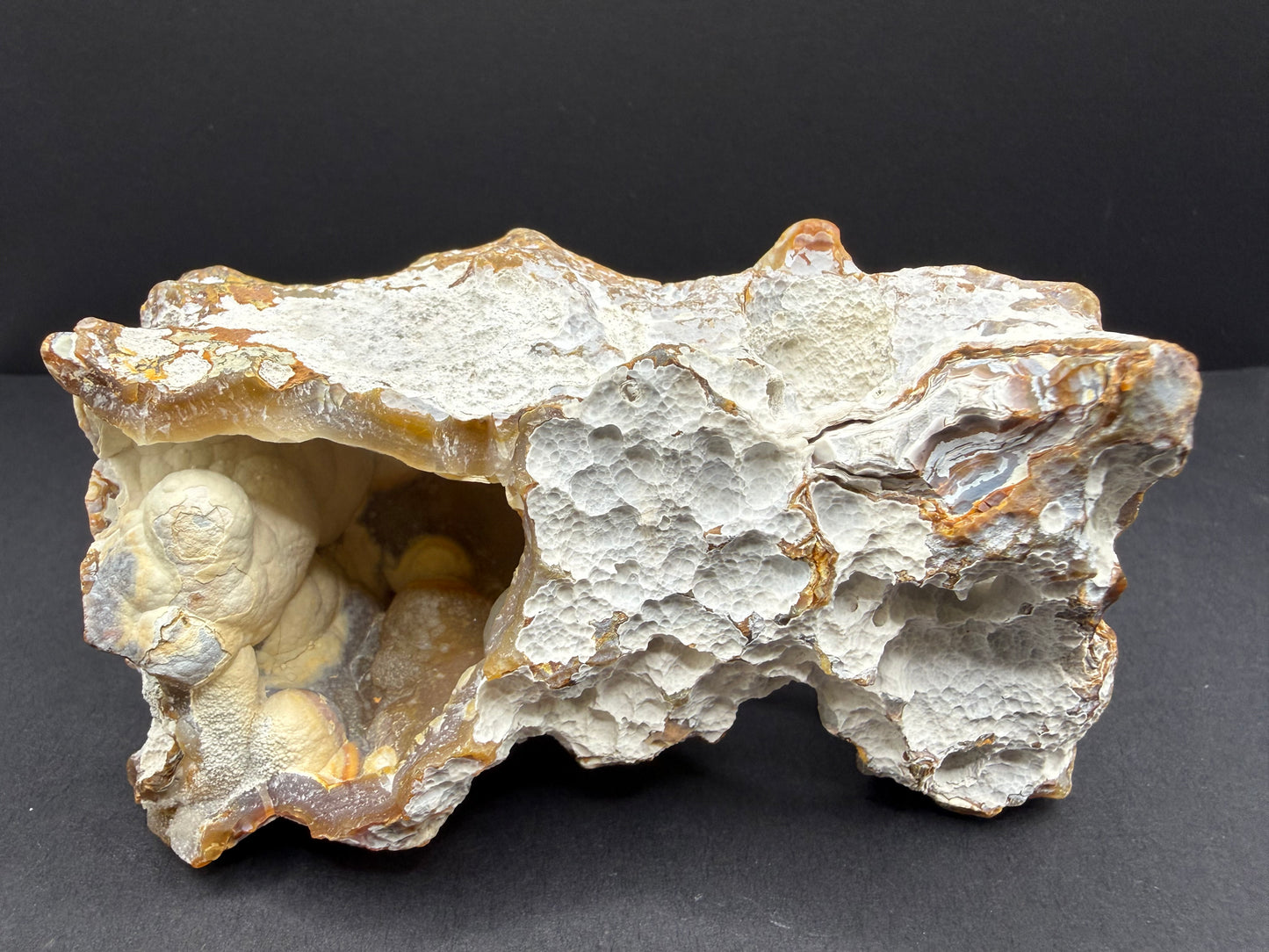Agatized Coral