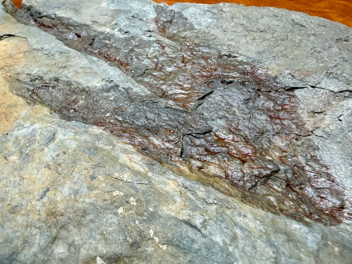 Dinosaur Trace