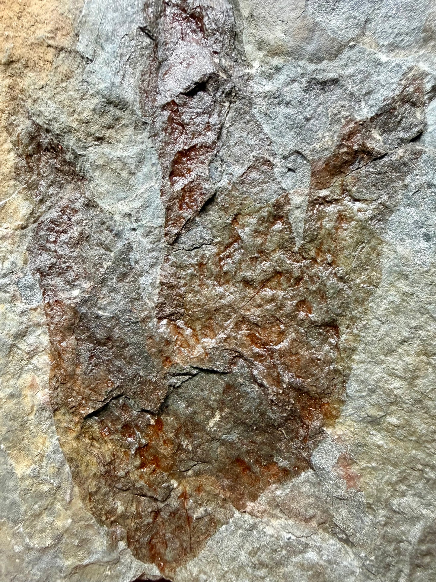 Dinosaur Trace