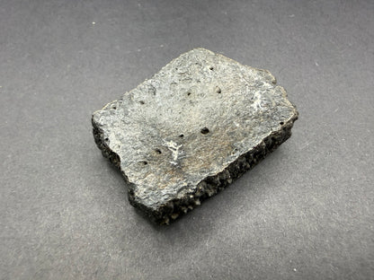Glyptodon Osteoderm