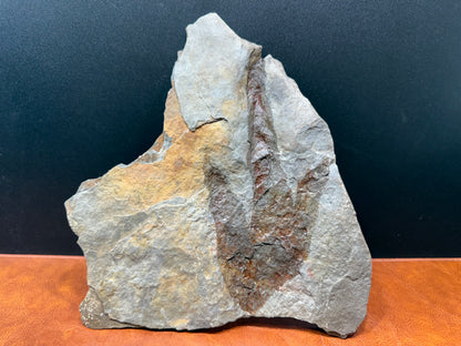 Dinosaur Trace