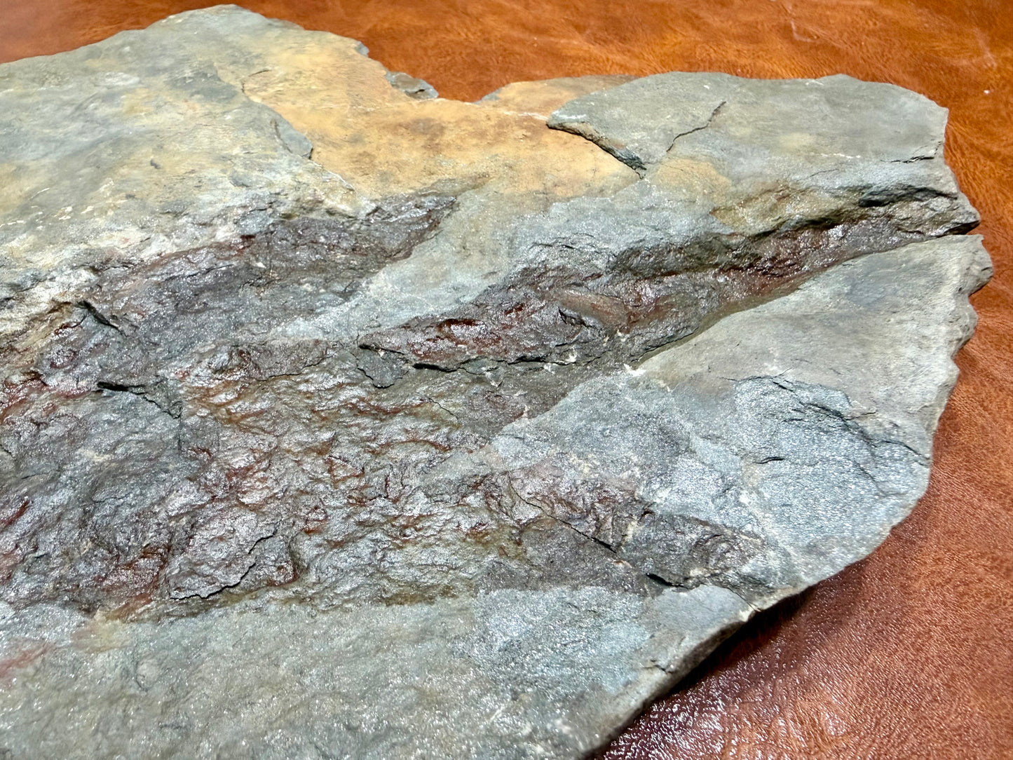 Dinosaur Trace