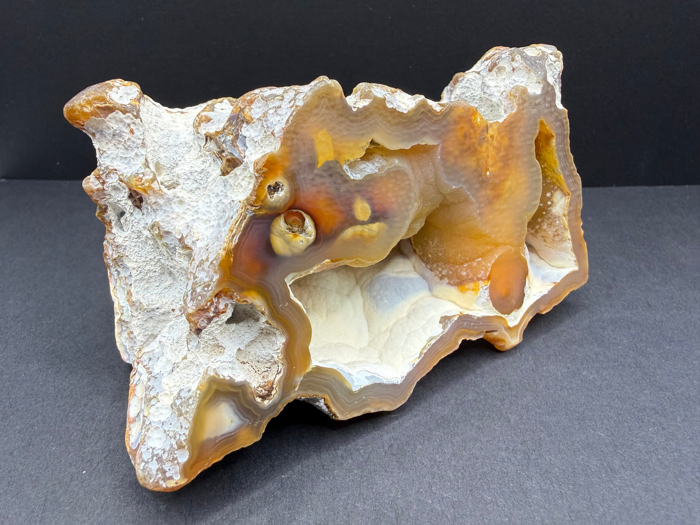 Agatized Coral