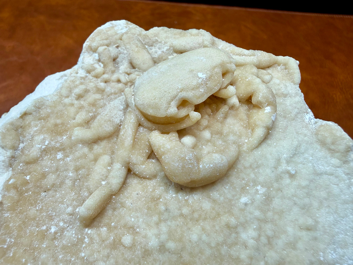 Potamon Fossilized Crab