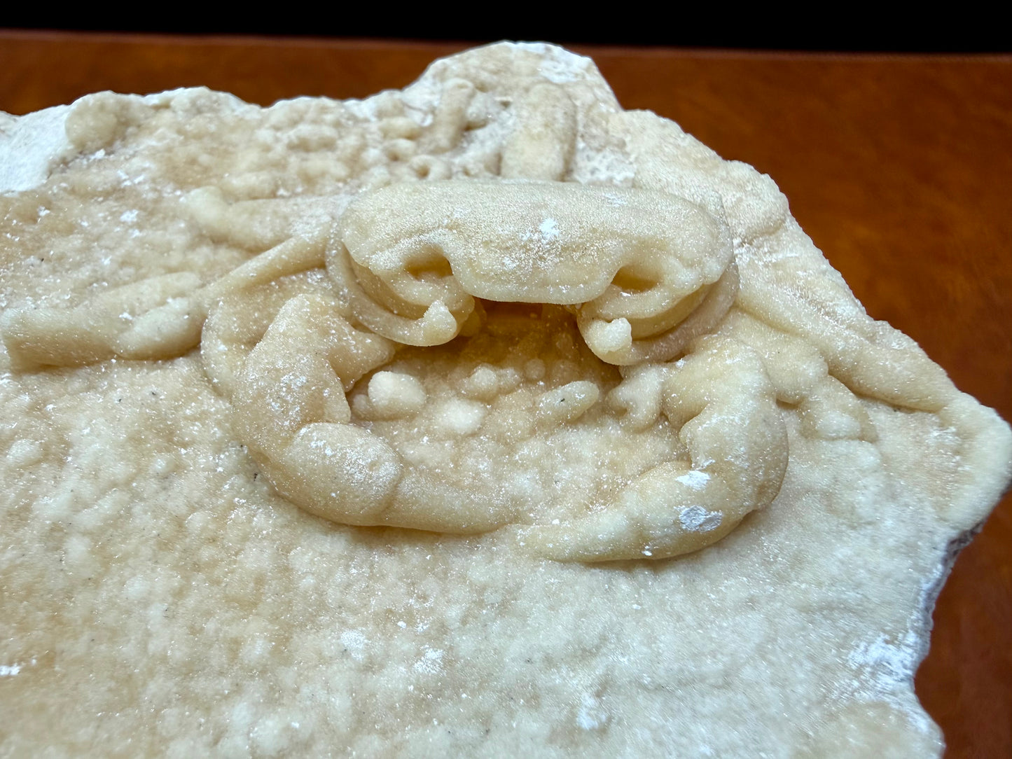 Potamon Fossilized Crab