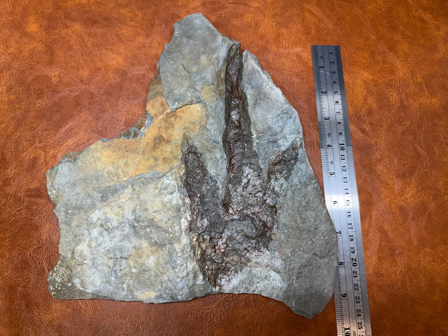 Dinosaur Trace