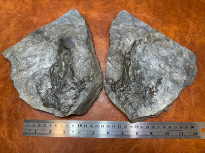Dinosaur Trace