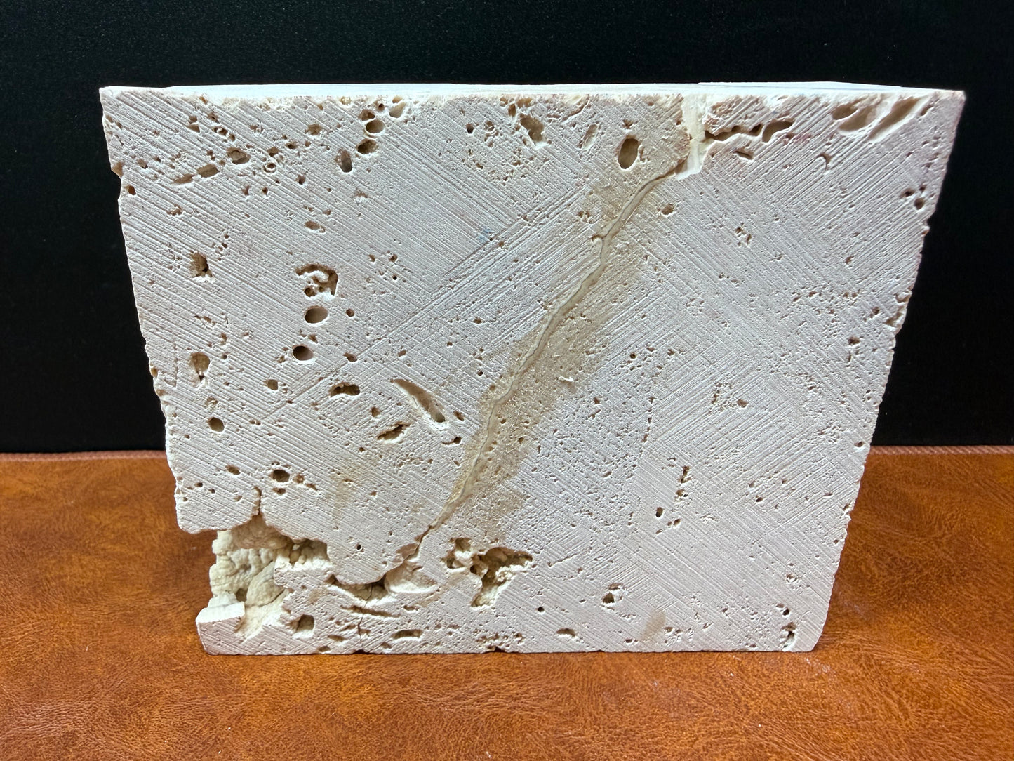 Potamon Fossilized Crab