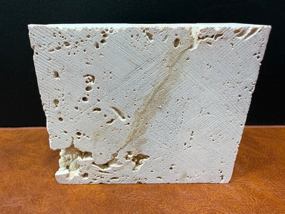 Potamon Fossilized Crab