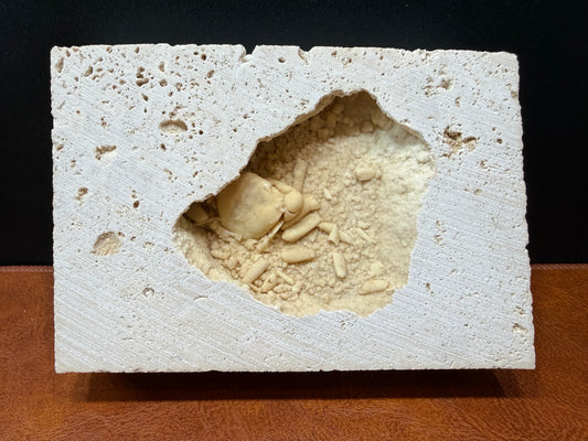 Potamon Fossilized Crab