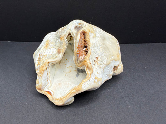 Agatized Coral