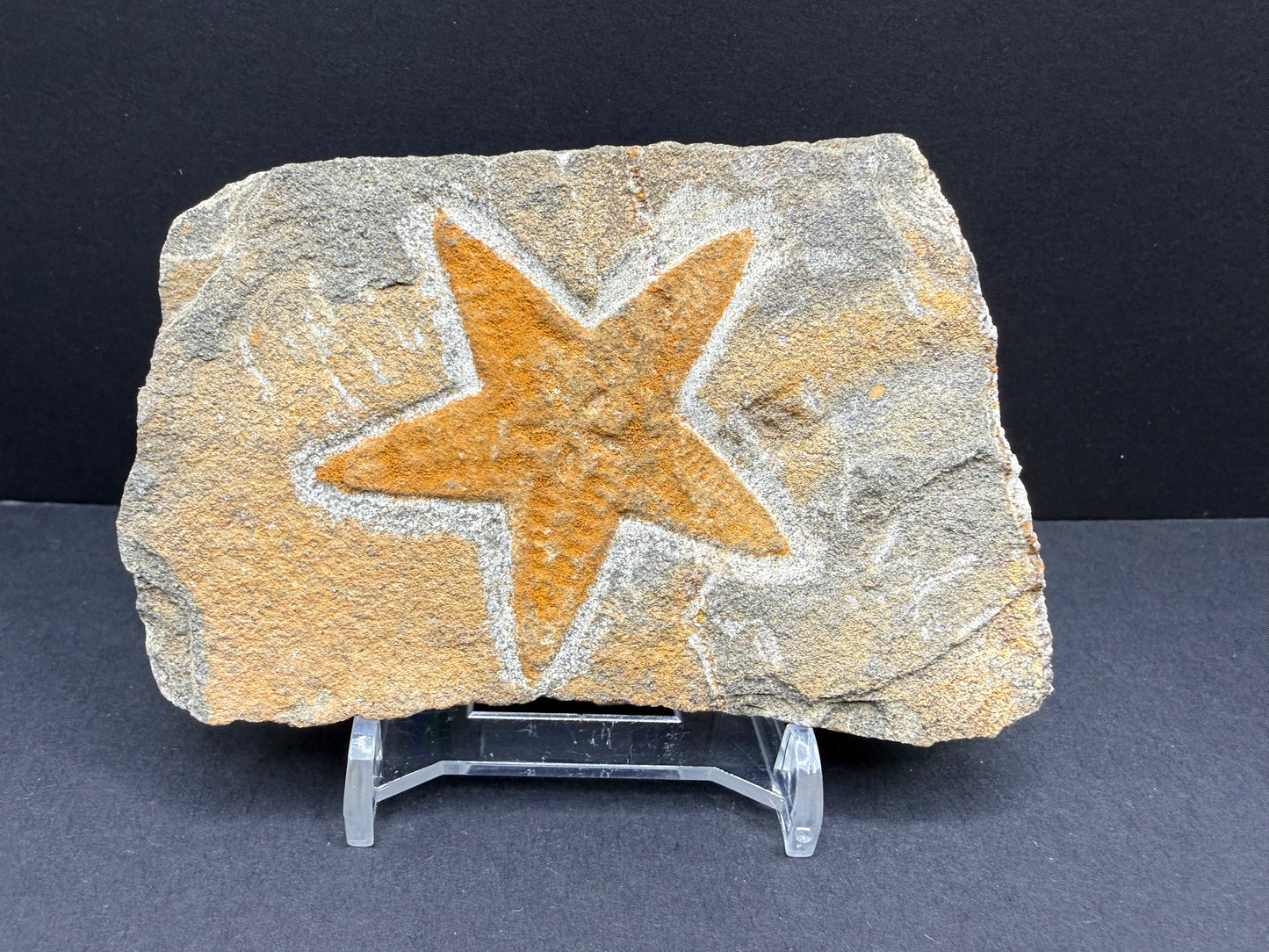 Starfish