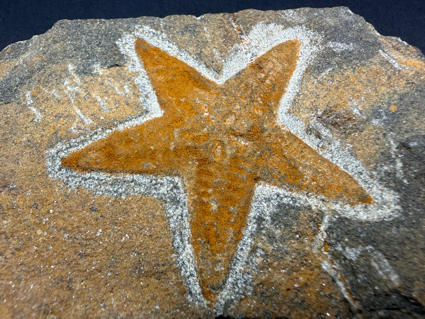 Starfish