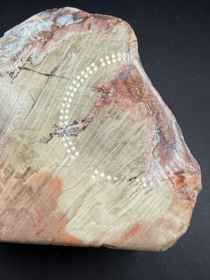 Schilderia Petrified Wood