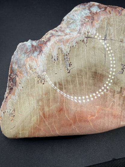 Schilderia Petrified Wood