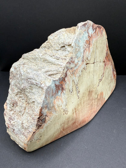 Schilderia Petrified Wood