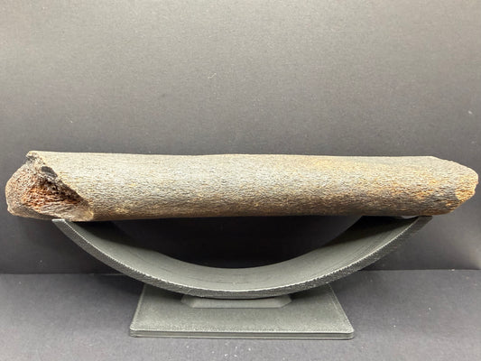 Whale Rib Bone
