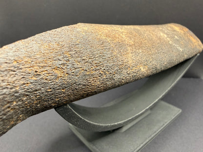 Whale Rib Bone