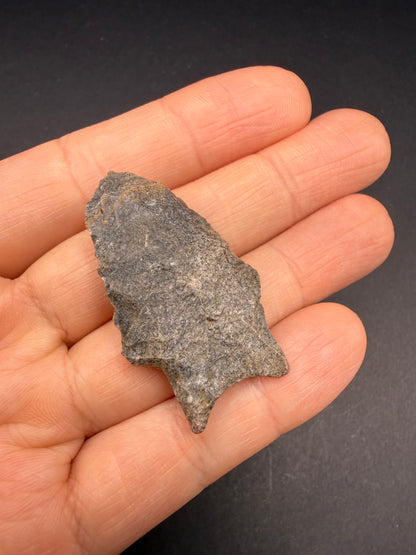 Native American Artifact